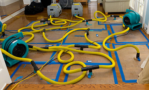 Professional Crawl Space Water Removal technician working in Miramar Beach, FL